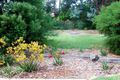 Property photo of 6 Orchard Court Somerville VIC 3912