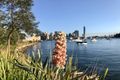 Property photo of 1103/2 Dind Street Milsons Point NSW 2061