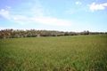 Property photo of 785 Henry Lawson Drive Eurunderee NSW 2850