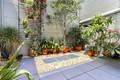 Property photo of 235A Cope Street Waterloo NSW 2017