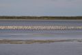 Property photo of 6908A Princes Highway Coorong SA 5264