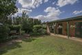 Property photo of 43 Broome Street South Perth WA 6151