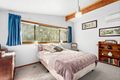 Property photo of 17 Therese Avenue Mount Waverley VIC 3149
