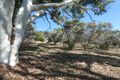 Property photo of 11 Pelham Street Toodyay WA 6566