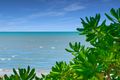 Property photo of 72 Cinderella Street Machans Beach QLD 4878