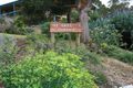 Property photo of 12 Vista Avenue Skenes Creek VIC 3233