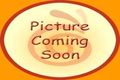 Property photo of 42 Koolinda Street Falcon WA 6210