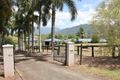 Property photo of 44 Golden Street Goldsborough QLD 4865