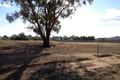 Property photo of 31 Kerford Street Rochester VIC 3561