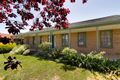 Property photo of 51 Parsons Street Marion SA 5043
