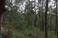 Property photo of 229 Mount Warning Road Mount Warning NSW 2484