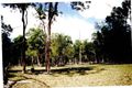 Property photo of 691 The Bucketts Way Limeburners Creek NSW 2324