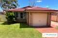 Property photo of 45 Hydrangea Place Macquarie Fields NSW 2564