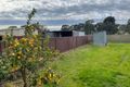 Property photo of 41 Elizabeth Street Euroa VIC 3666