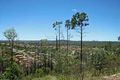 Property photo of 27 Salvado Drive Pacific Pines QLD 4211