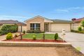 Property photo of 4 Betty Maloney Crescent Banks ACT 2906