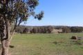 Property photo of 40 Majors Road Young NSW 2594