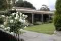 Property photo of 19 Yorkminster Avenue Wantirna VIC 3152