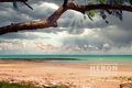 Property photo of 3 Johns Place Rapid Creek NT 0810