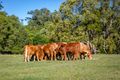 Property photo of 117 Croziers Road Pinbarren QLD 4568