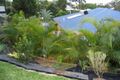 Property photo of 18 Merriman Court Palmwoods QLD 4555