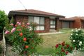 Property photo of 8 Percival Street Shepparton VIC 3630