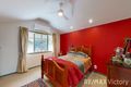 Property photo of 207 Bigmor Drive Elimbah QLD 4516