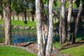 Property photo of 45/2 Coral Coast Drive Palm Cove QLD 4879