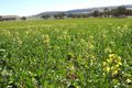 Property photo of 2605 The Escort Way Boree NSW 2800