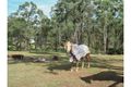 Property photo of 12-14 Paine Place Kooralbyn QLD 4285