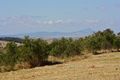 Property photo of 93-123 Tallegalla Two Tree Hill Road Tallegalla QLD 4340