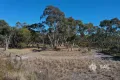 Property photo of 1580 Padthaway Road Mundulla West SA 5270