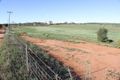 Property photo of 123 Seventh Avenue Northampton WA 6535