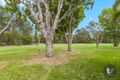 Property photo of 16 Mackay Court Alexandra Hills QLD 4161