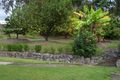 Property photo of 16 Nevada Place Oxenford QLD 4210