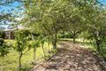 Property photo of 74-76 Park Street Scone NSW 2337