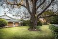 Property photo of 74-76 Park Street Scone NSW 2337