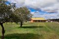 Property photo of 62 Institute Road Carlsruhe VIC 3442