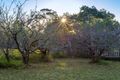 Property photo of 423 Cedar Party Road Wingham NSW 2429