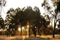 Property photo of 111 Manjedal Road Karrakup WA 6122