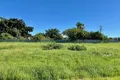 Property photo of 45A Charles Street Bluff Point WA 6530