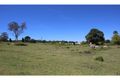 Property photo of 253 Bulwer Street Tenterfield NSW 2372