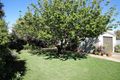 Property photo of 31 Linley Avenue Prospect SA 5082