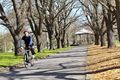 Property photo of 36 Rutland Street Clifton Hill VIC 3068