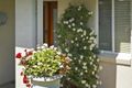 Property photo of 11 The Haven Tea Gardens NSW 2324