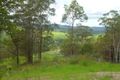 Property photo of 1363 Hickeys Creek Road Millbank NSW 2440