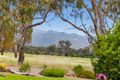 Property photo of 905 Bellellen Road Pomonal VIC 3381