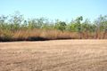 Property photo of 384 Spencer Road Darwin River NT 0841