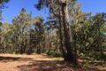 Property photo of 45 Walker Road Wilga WA 6243