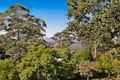 Property photo of 24 Hilltop Crescent Blue Mountain Heights QLD 4350